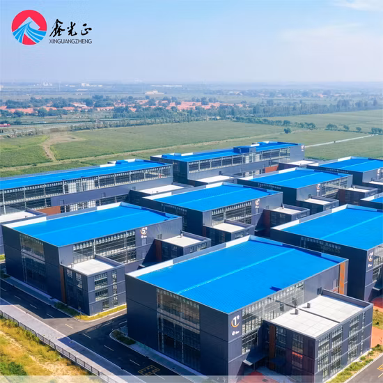 Prefabricated Fire Proof Steel Frame Workshop/Warehouse/Hangar Building
