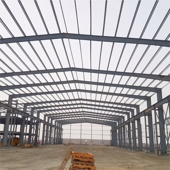 Prefabricated Fire Proof Steel Frame Workshop/Warehouse/Hangar Building