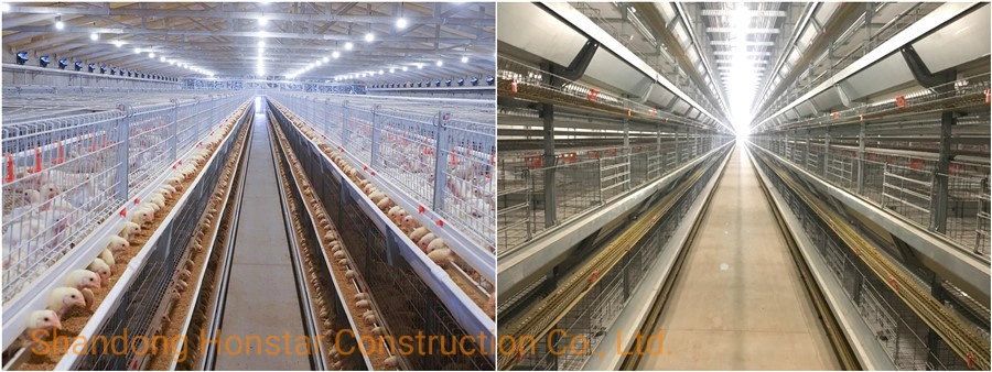 Light Steel Structure Metal Frame Prefabricated Chicken House/Chicken Coop/Hen House/Prefab Poultry Farm House Building with Farming Equipment