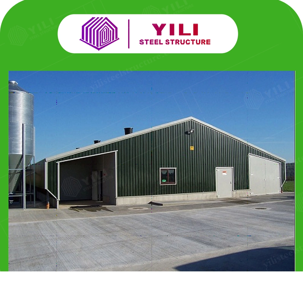 Steel Frame Metal Structure Poultry Commercial Chicken House