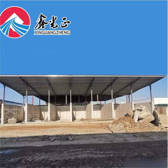 Oficina/armazém/edifício hangar pré-fabricados à prova de fogo