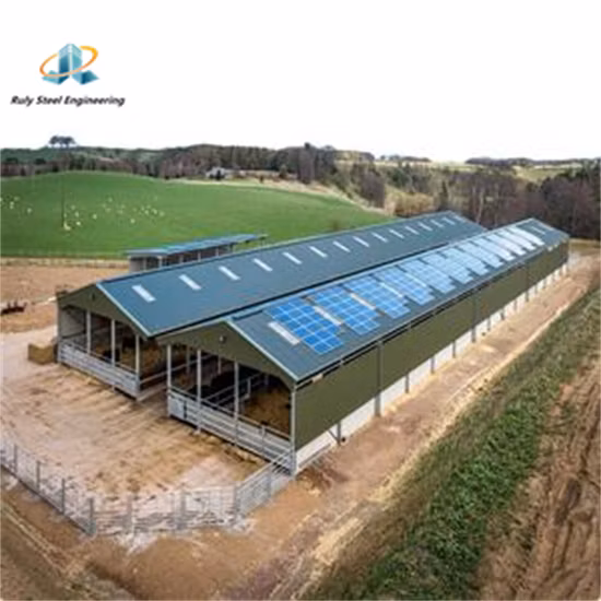 Amplo espaço interno Excelente painel sanduíche PU Isolamento térmico Estrutura de aço pré-fabricada de vão único/múltiplo Galinheiro/Aves