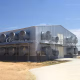 Estrutura de aço Galinha Verde Estrutura de Aves Fabricação Preço de Casas de Fazenda de Aves