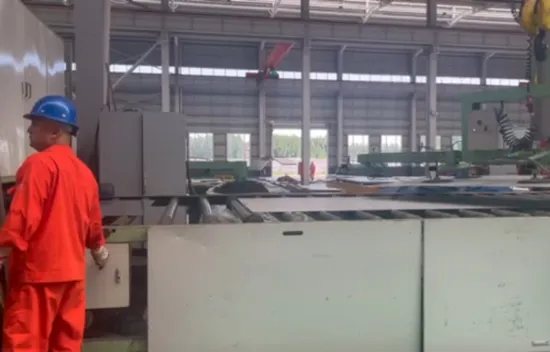 Construção de casa de painel sanduíche de estrutura de aço pré-fabricada para aviários