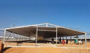 Pré-fabricado/pré-fabricado armação de metal galvanizado painel sanduíche construção de fazenda de aves estrutura de aço galpão galinheiro para porco/vaca/cabra/frango/criador/camada/ovo