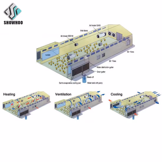 Estrutura de aço pré-fabricada Túnel Ventilado Casa de aviário Projeto de casa de fazenda de avicultura