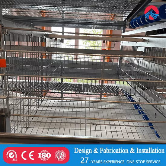 Galinheiro de estrutura de aço de parada única