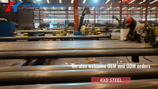 Galinheiro de estrutura de aço leve pré-fabricado para avicultura (KXD-PCH1)