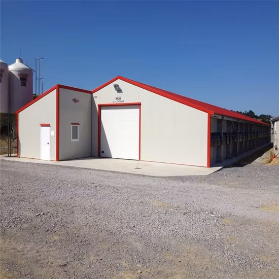 Popular galvanizado pré-fabricado personalizado projeto de estrutura de aço da china fazendas de aves galinheiro casa com preço baixo