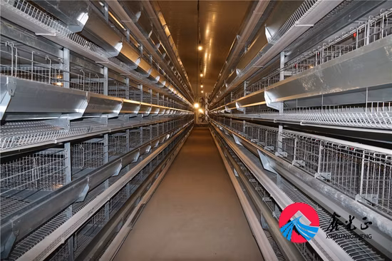 Estrutura de aço Frango Aves Galvanizado Galvanizado por Imersão a Quente