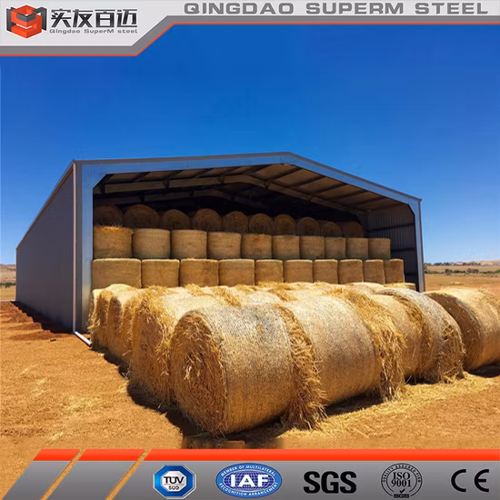 Galpão de metal pré-fabricado, estrutura de aço, armazém, oficina, edifícios para venda